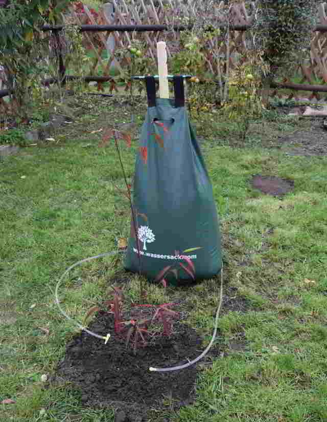 Wassersack Baum Bewässerung Baumbewässerung kaufen